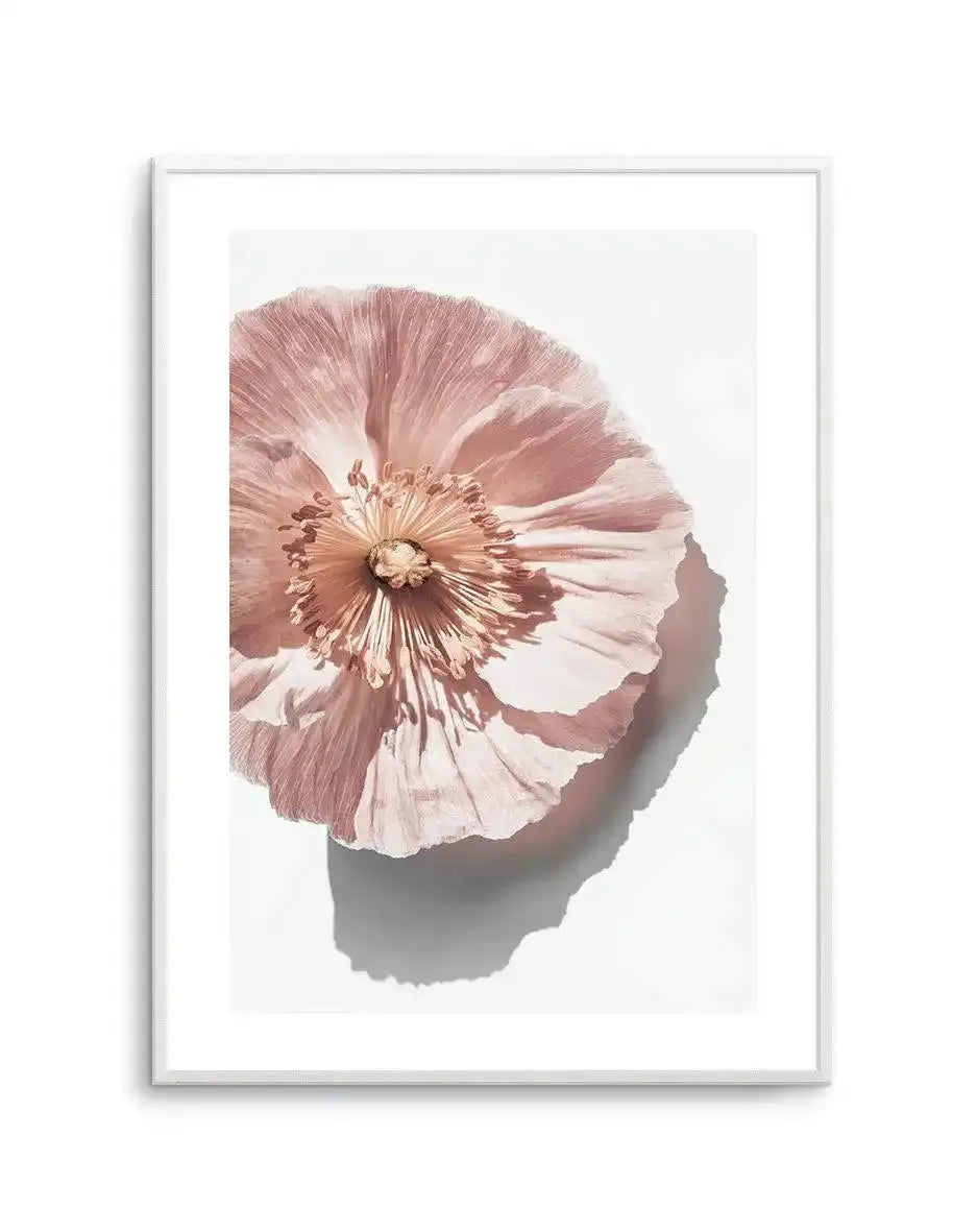 Framed art print featuring an abstract close-up of a poppy flower with delicate, layered petals in dusty rose, mauve, and cream tones. The flower head dominates the composition, showing fine radiating lines and texture throughout the petals, with a golden-bronze center stamen. A soft shadow is cast beneath the bloom against a light background. The artwork is presented in a silver-toned frame with a white border, creating a clean, minimalist presentation on a white wall.
