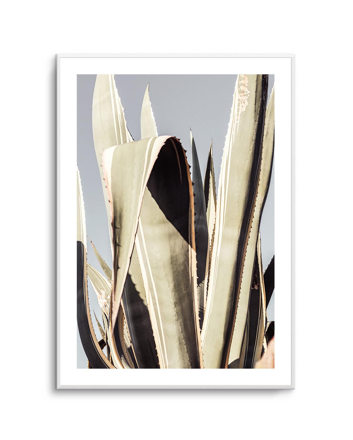Botanical Wall Art Print