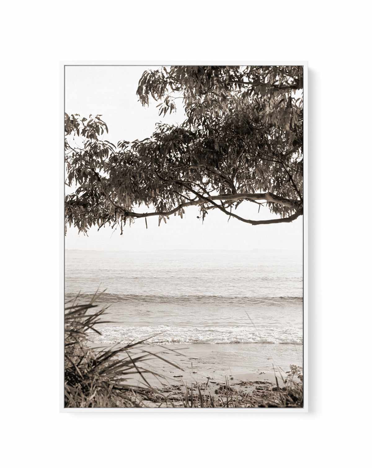 Coast to Coast - Orchid frame oil canvas main image 0