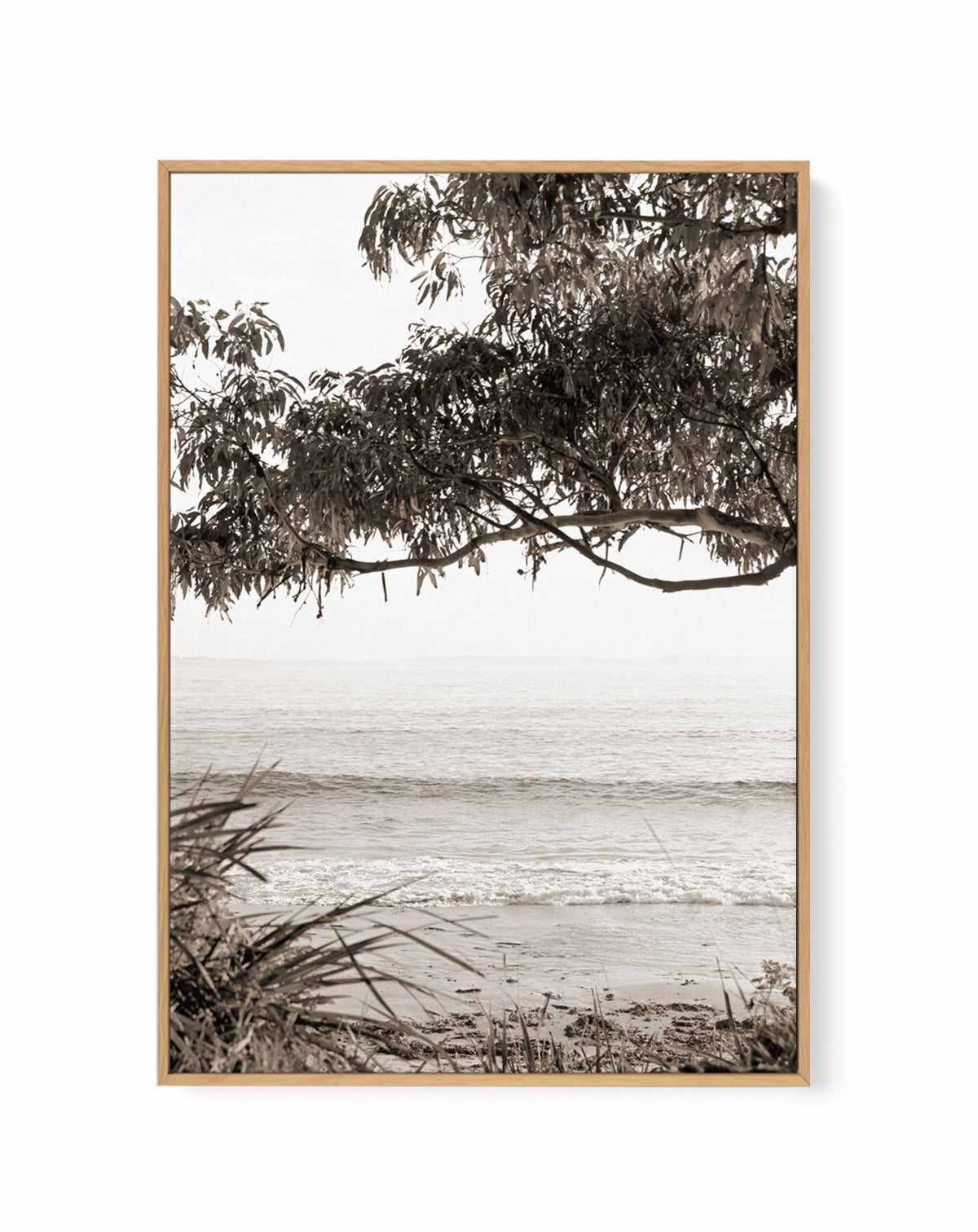 Australian Coast II | Framed Canvas Art Print from Olive et Oriel where you can shop wallpaper and artworks online