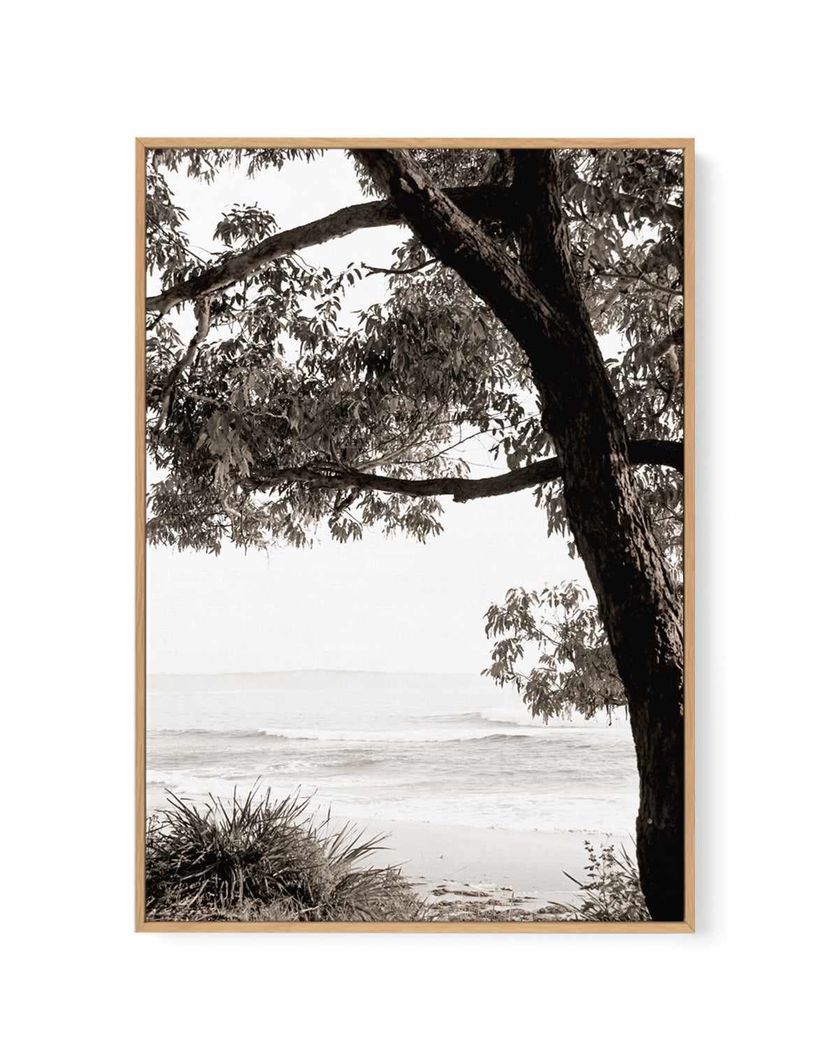 Australian Coast III | Framed Canvas Art Print from Olive et Oriel where you can shop wallpaper and artworks online