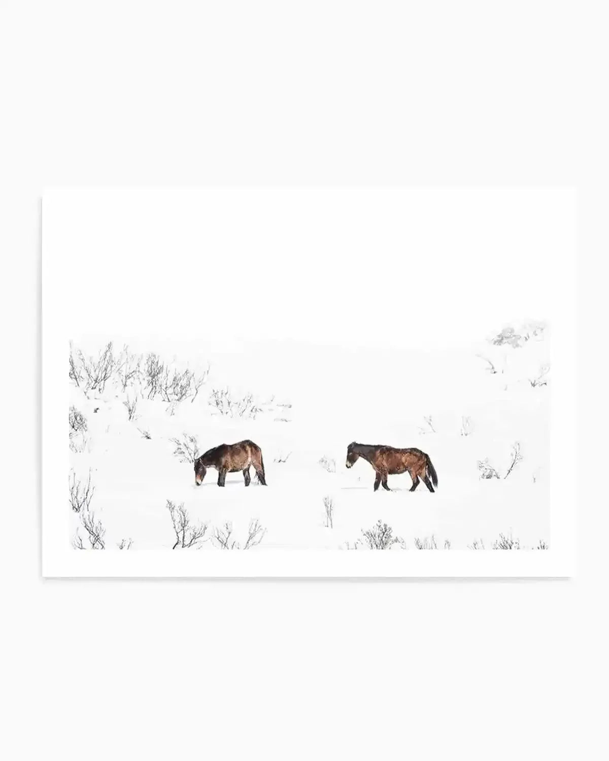 "Photography art print of two wild horses, known as Brumbies, walking through a snow-covered landscape with sparse, dark winter bushes. The horses have dark brown coats with reddish undertones. The composition features a vast expanse of white snow and sky, creating a minimalist and serene mood."