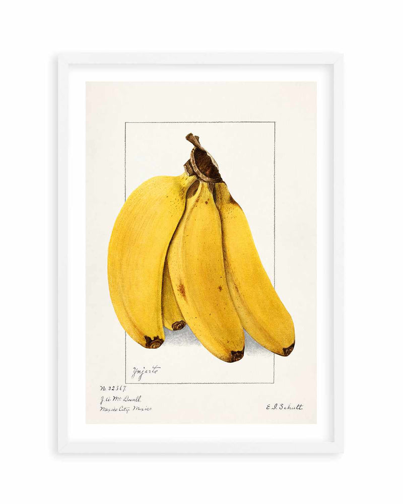 Bananas Vintage Poster Art Print