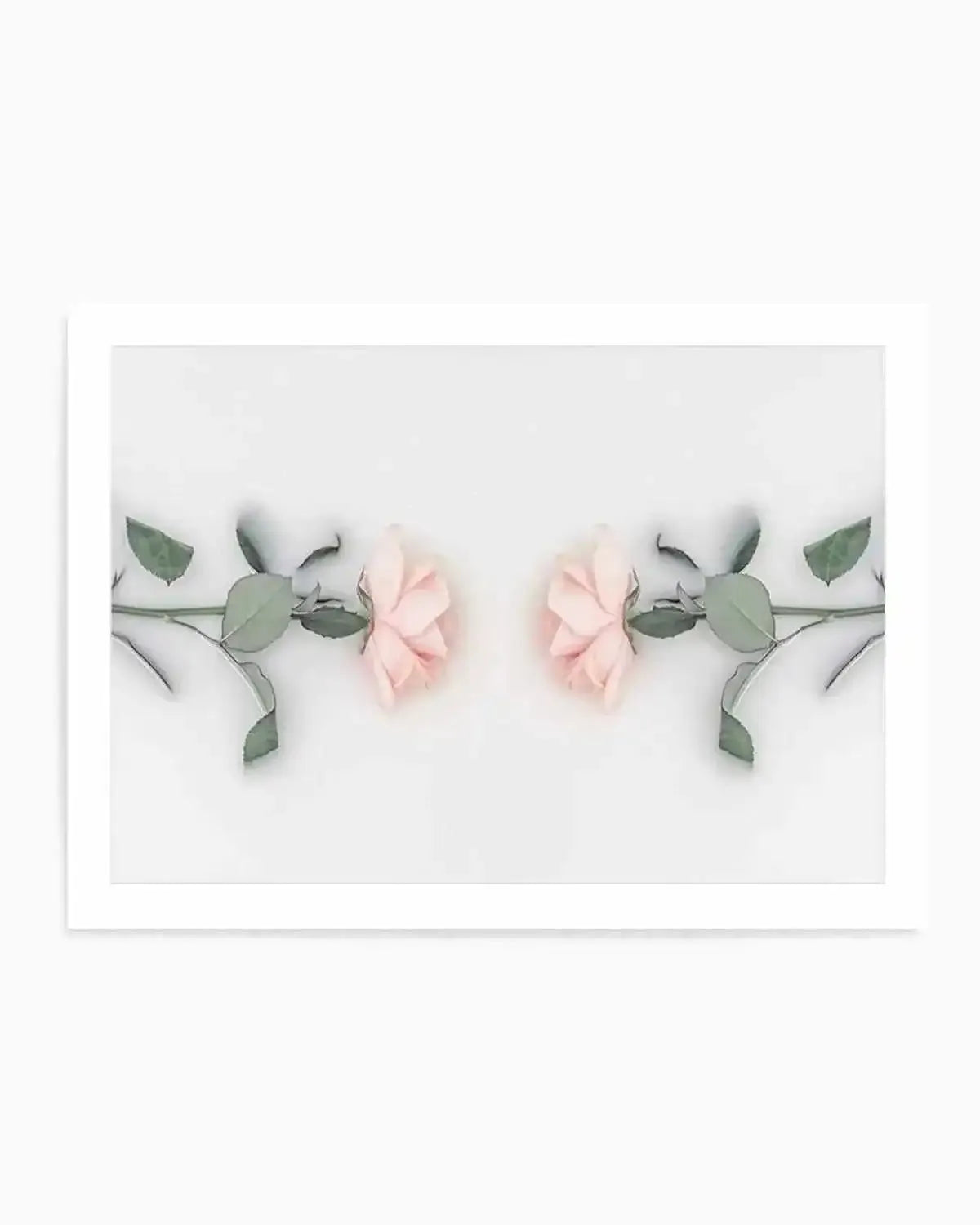 Bathing Roses II Art Print art print, framed