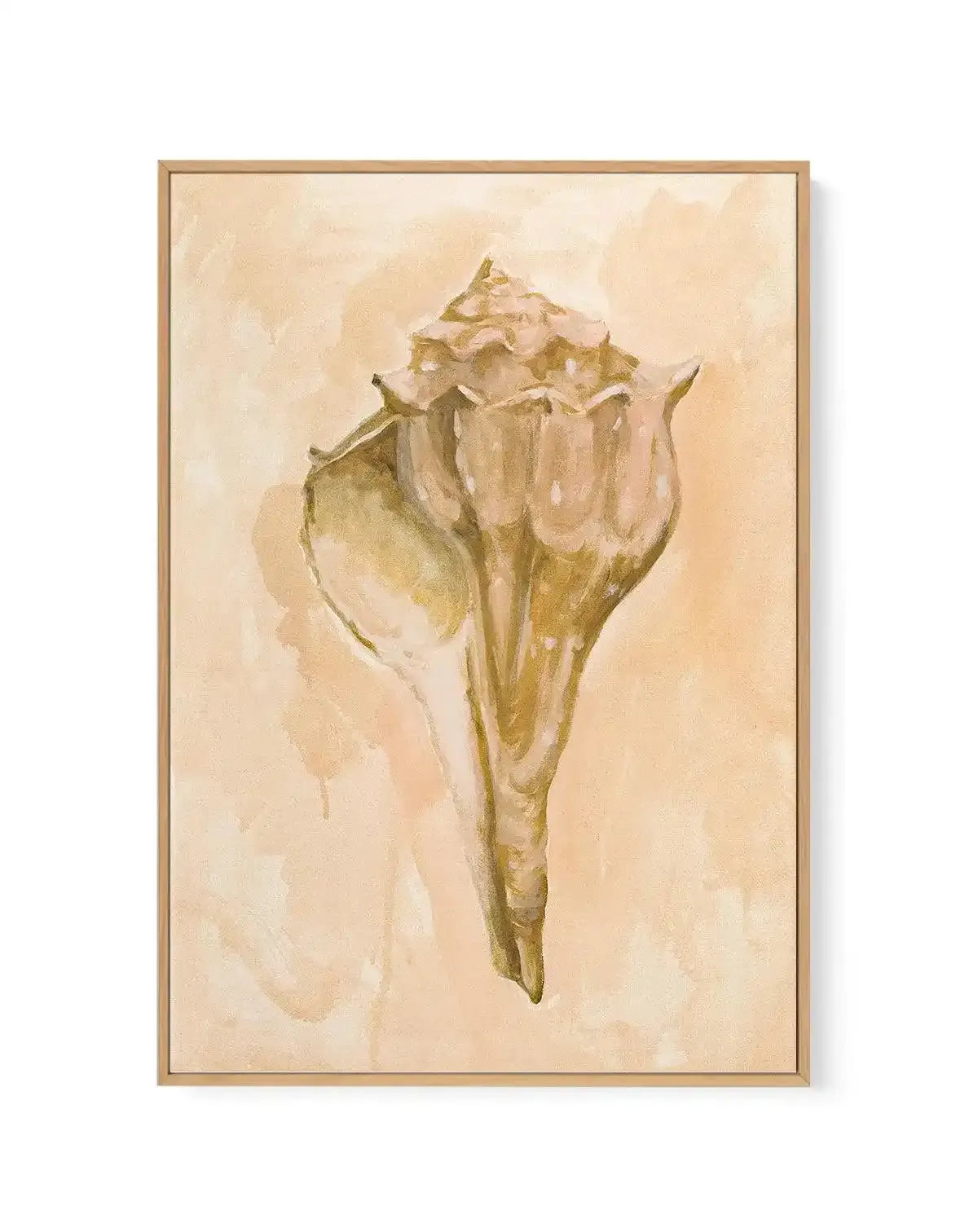 Bohemian Shell III by Natalie Jane | Framed Canvas Art Print from Olive et Oriel where you can shop wallpaper and artworks online