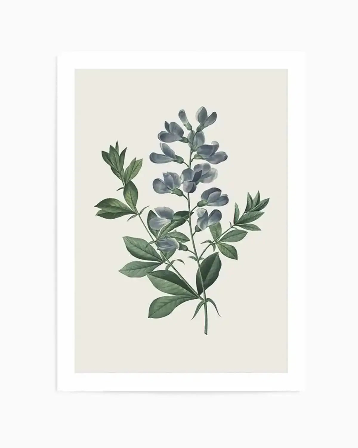 Botanica I Art Print from Olive et Oriel where you can shop wallpaper and artworks online