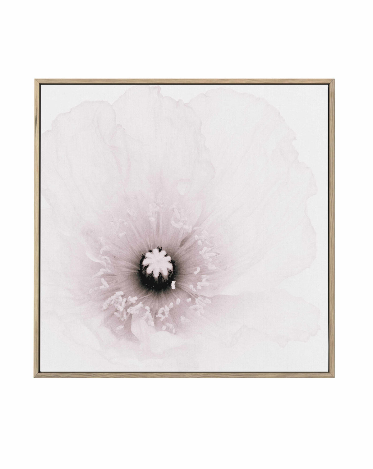 Classic Poppy | Framed Canvas Art Print from Olive et Oriel where you can shop wallpaper and artworks online
