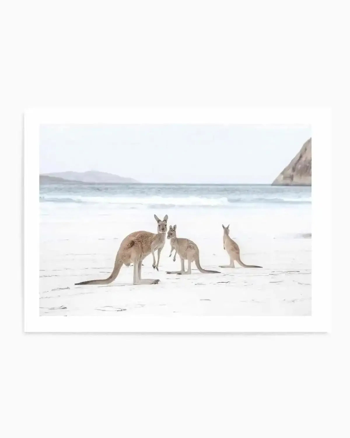 Coastal Beach Kangaroo II Art Print from Olive et Oriel where you can shop wallpaper and artworks online