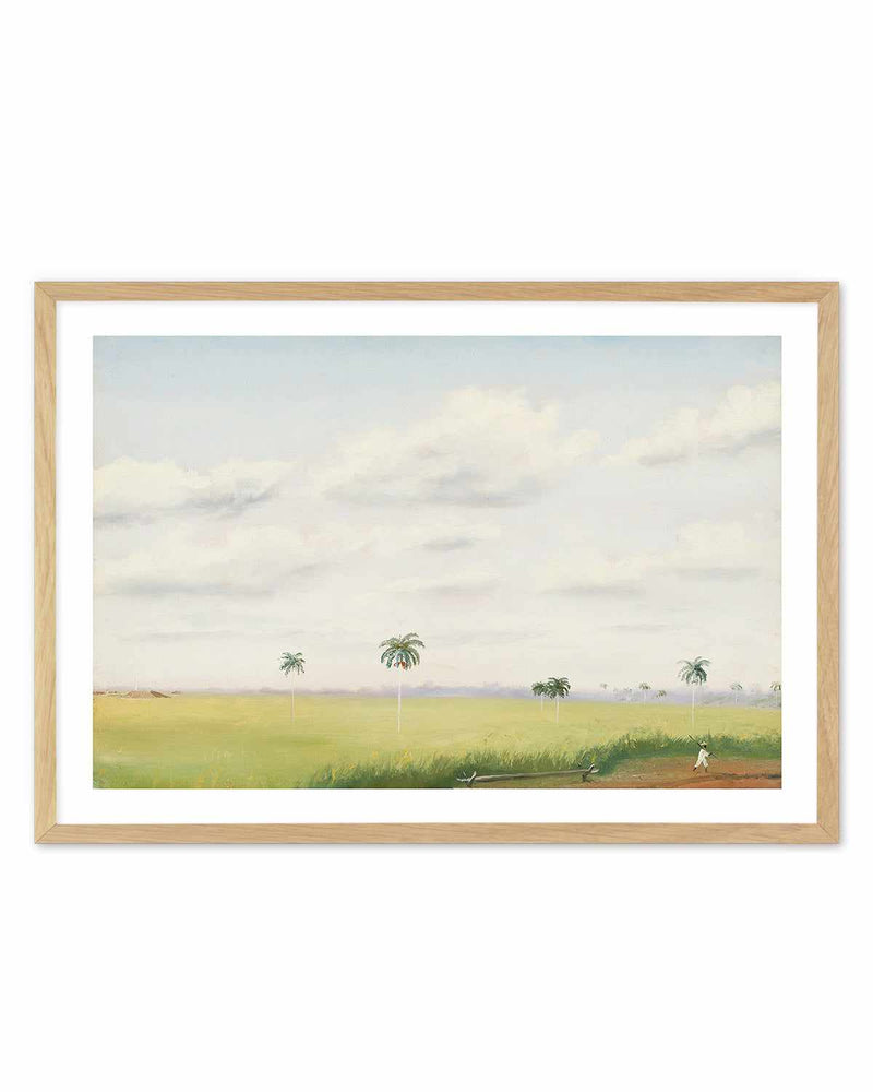 Cuban Farmer Vintage Painting Art Print