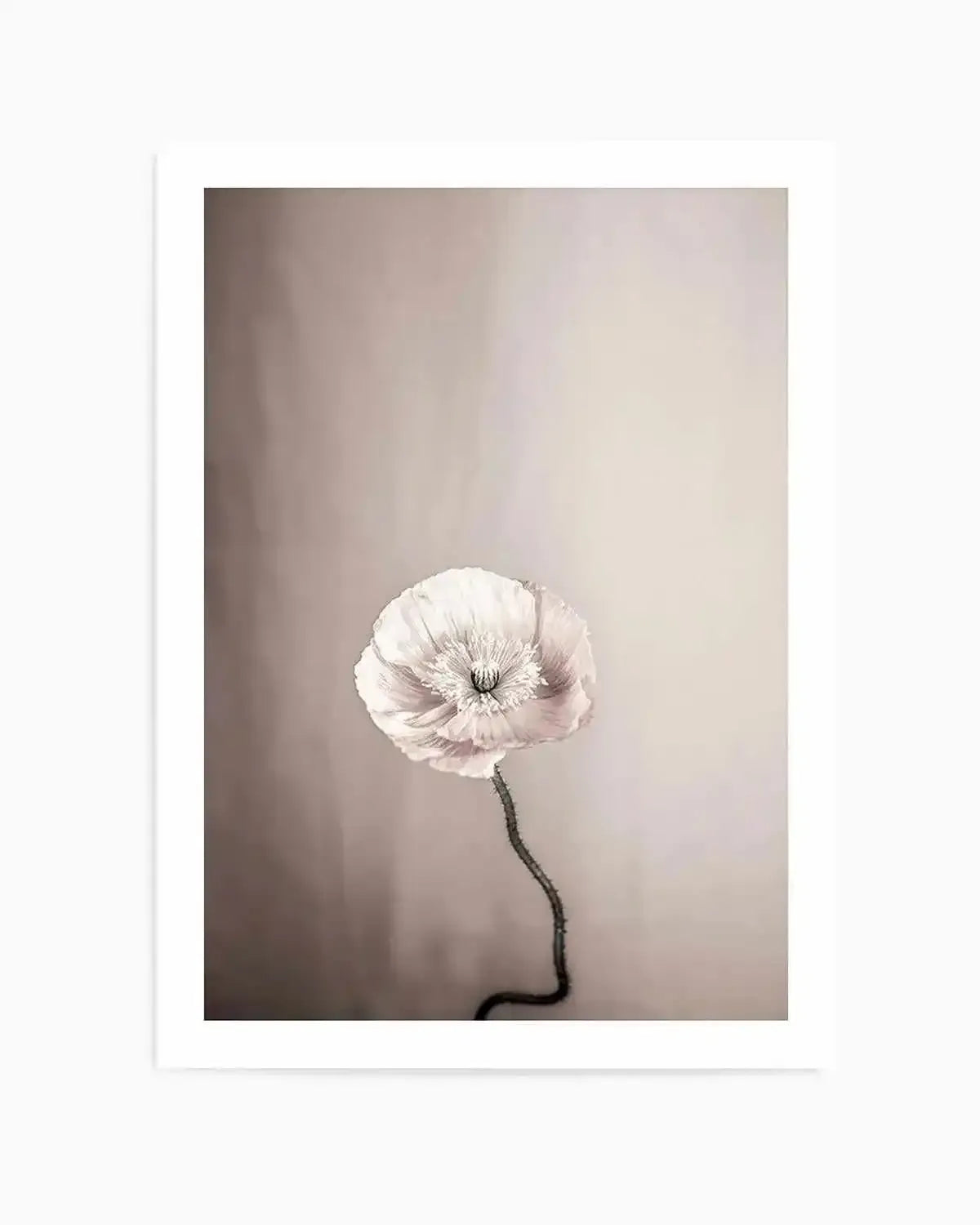 Femme Fleur Art Print art print, framed