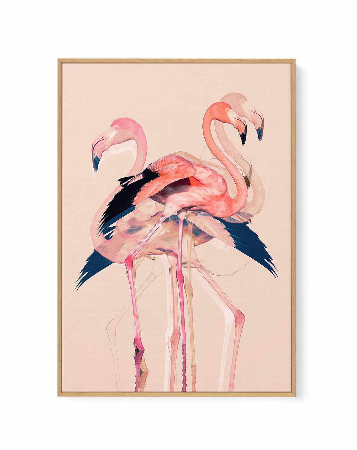 Flamingos nr. 3 By Baard Martinussen | Framed Canvas Art Print from Olive et Oriel where you can shop wallpaper and artworks online