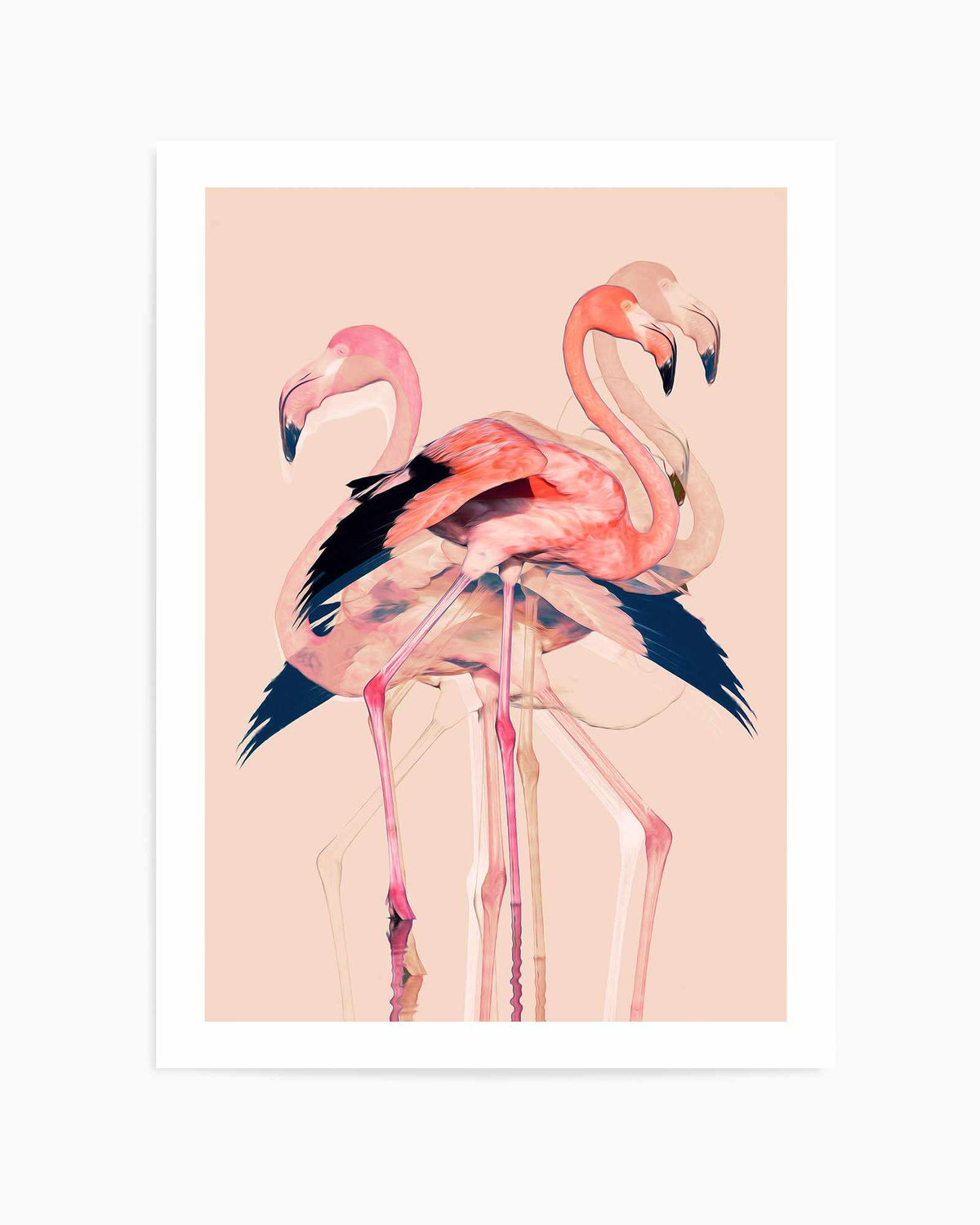 Flamingos nr. 3 By Baard Martinussen | Art Print from Olive et Oriel where you can shop wallpaper and artworks online