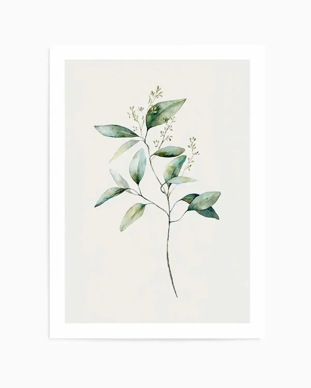 Watercolour art print featuring a single delicate botanical stem with multiple oval-shaped leaves in varying shades of sage green and soft blue-green, with small white floral clusters, on a warm cream background.
