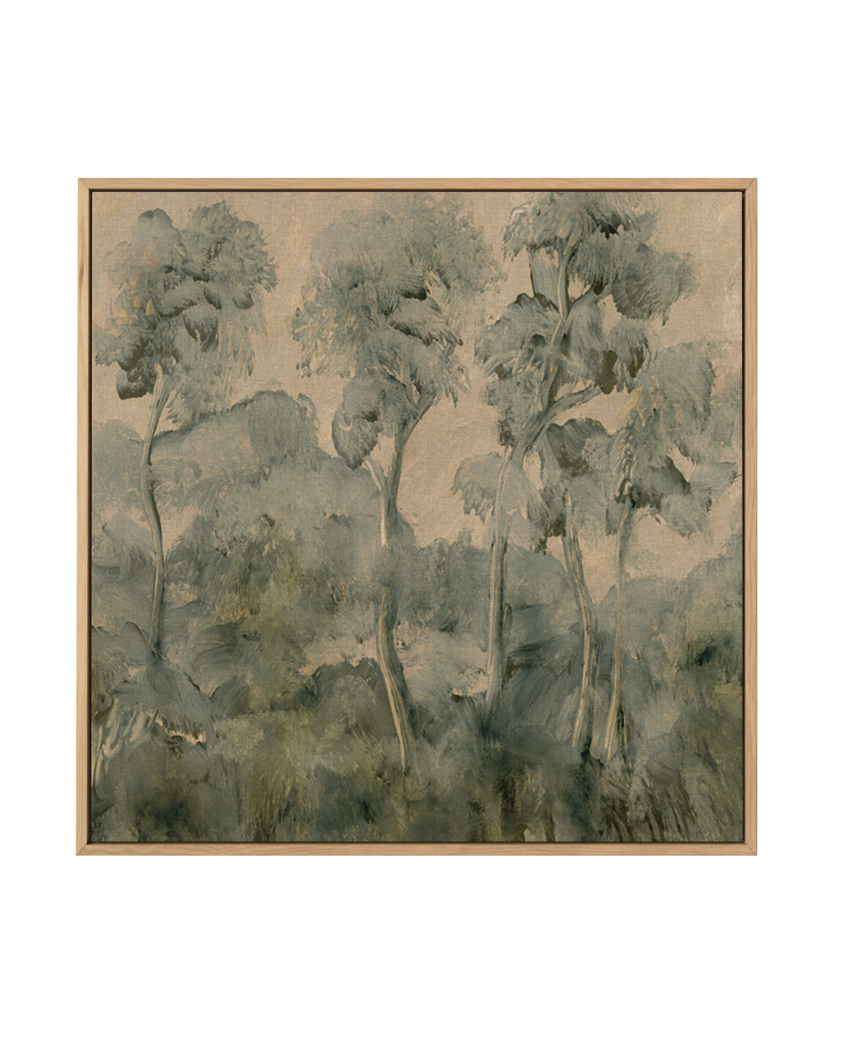 Forgotten Forest by Dan Hobday | Framed Canvas Wall Art
