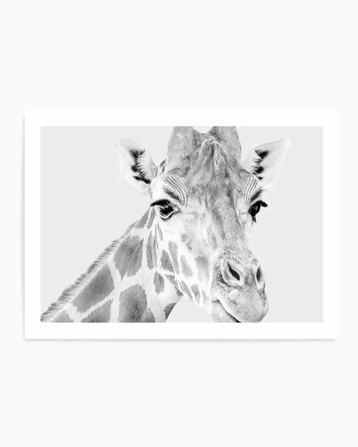 Giraffe B&W | LS Art Print from Olive et Oriel where you can shop wallpaper and artworks online