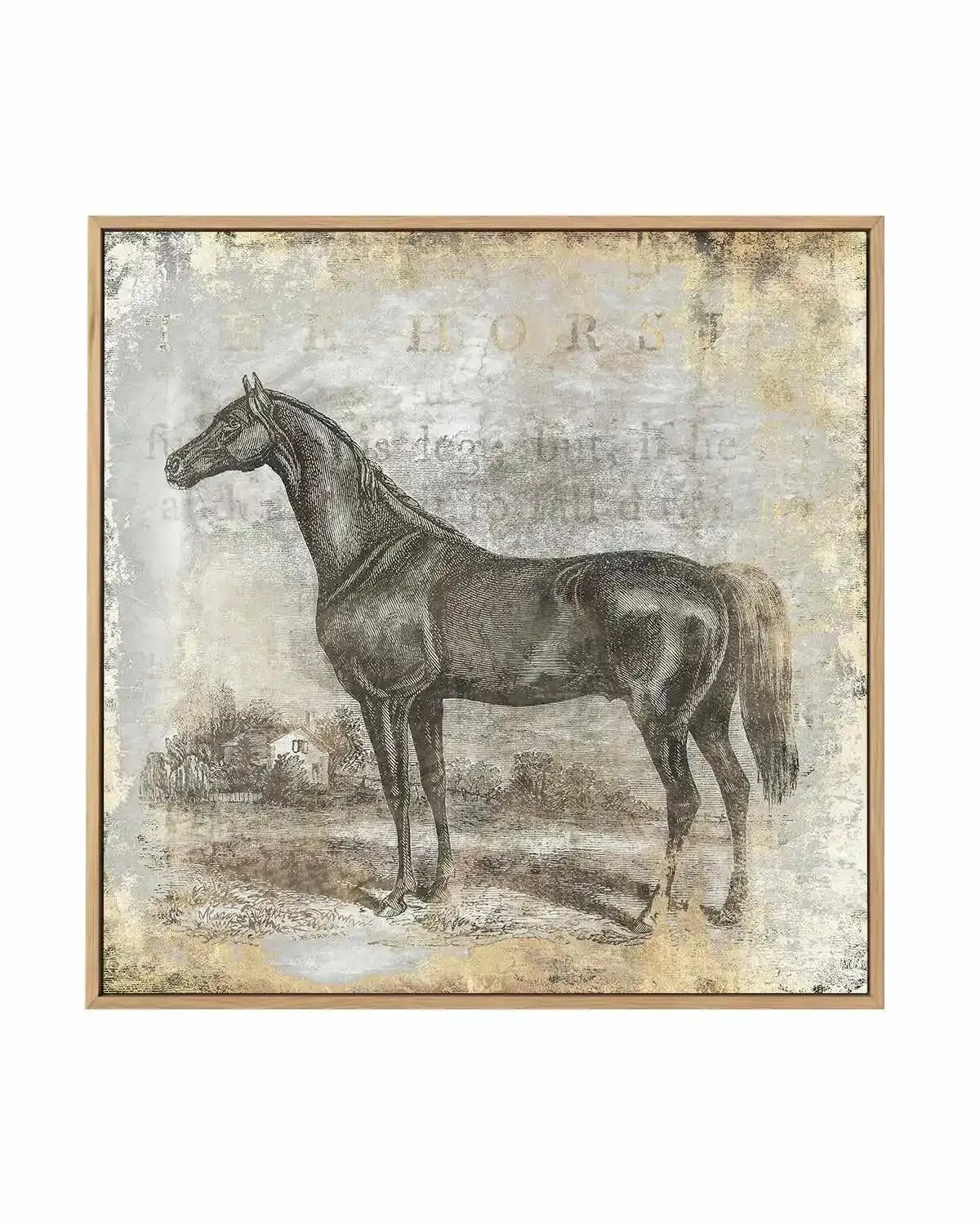 Gold Stallion I | Framed Canvas Art Print from Olive et Oriel where you can shop wallpaper and artworks online
