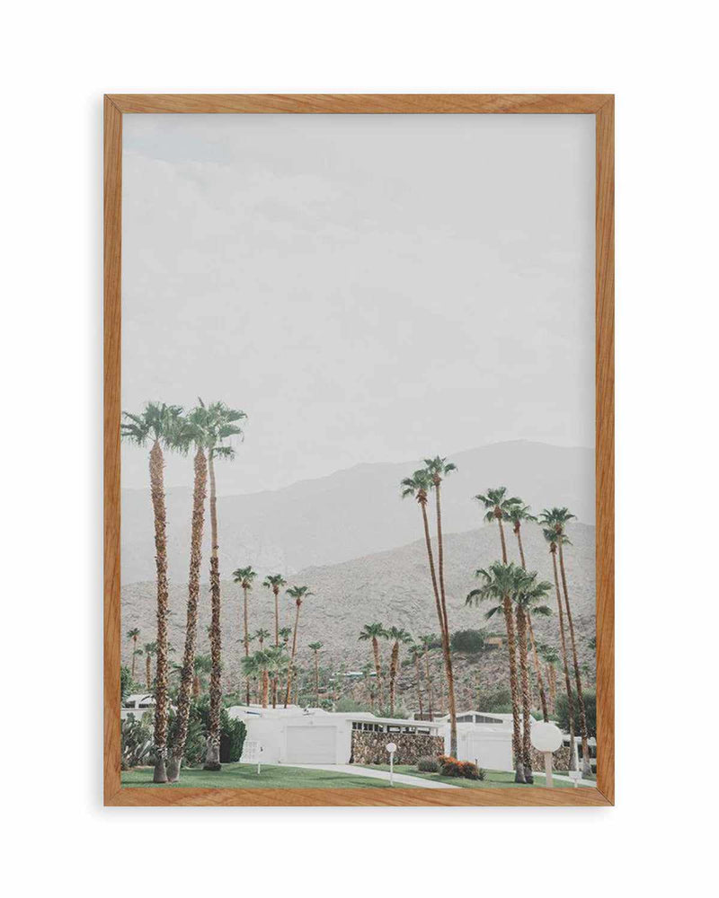 Grass Is Greener | Palm Springs | PT Art Print