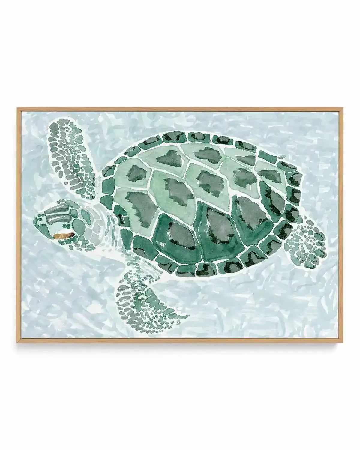 Green Turtle II | Framed Canvas Art Print from Olive et Oriel where you can shop wallpaper and artworks online