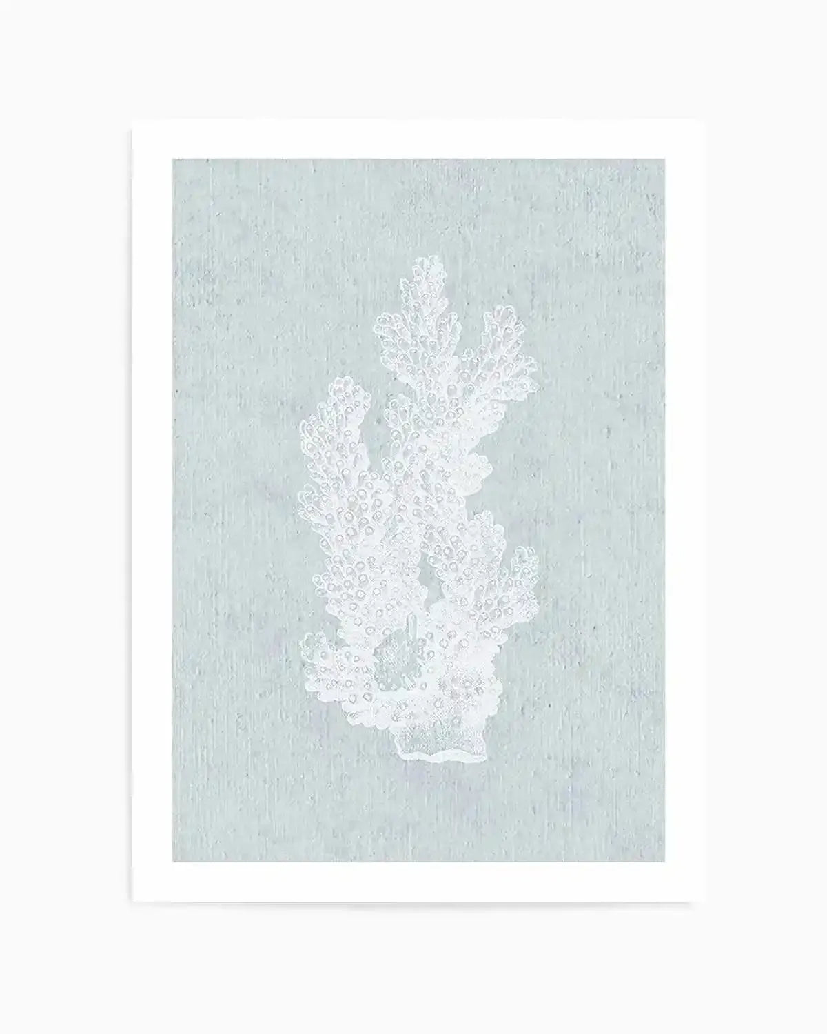 Art print featuring a detailed white illustration of a branching coral against a textured, pale blue-green background, with a white border and white frame.