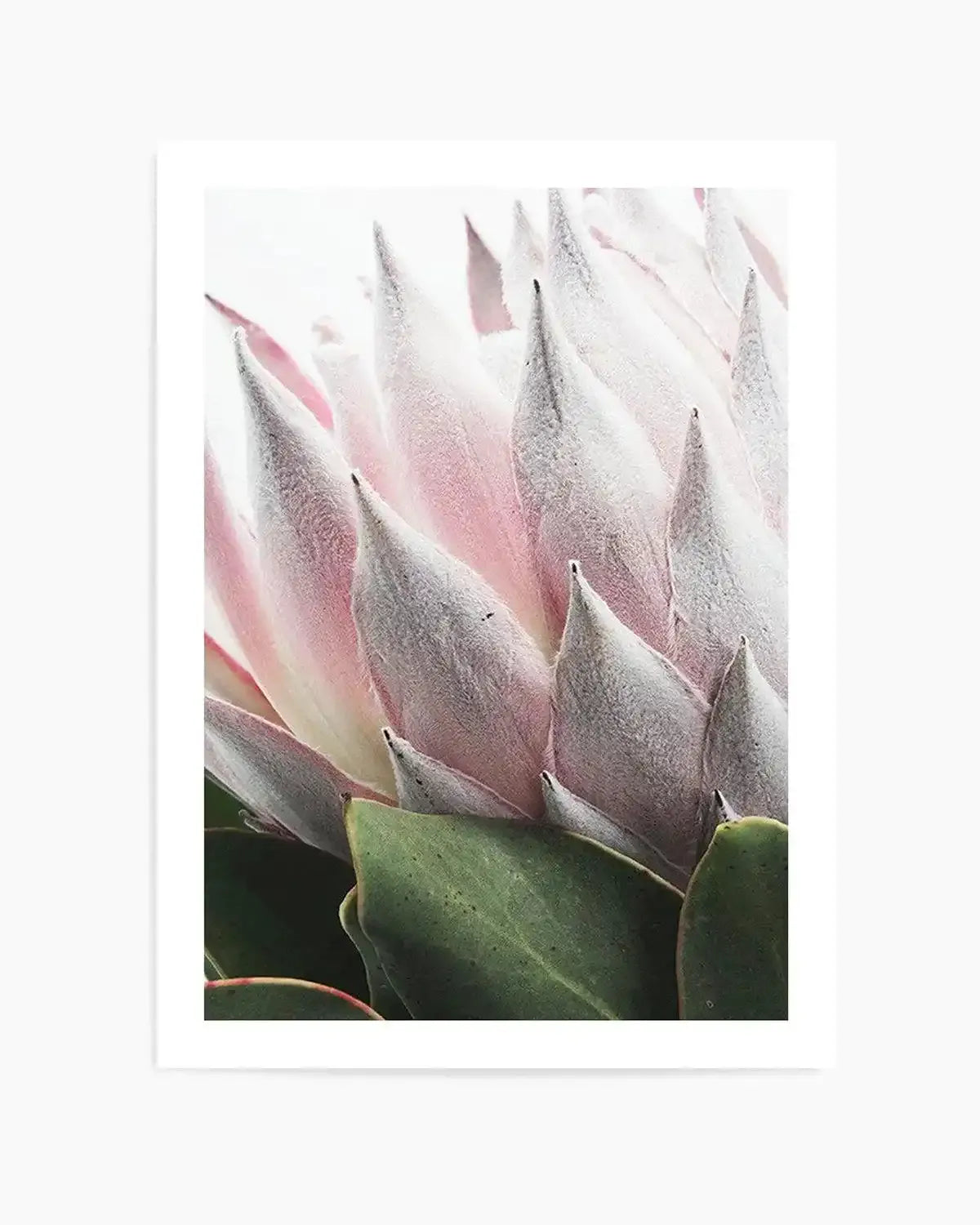 Her Crown Art Print art print, framed