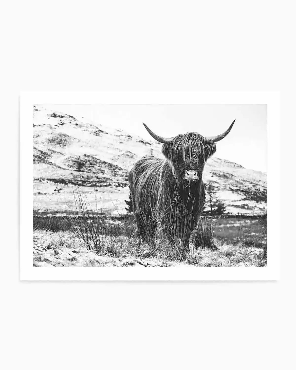 Highlander B&W Art Print from Olive et Oriel where you can shop wallpaper and artworks online