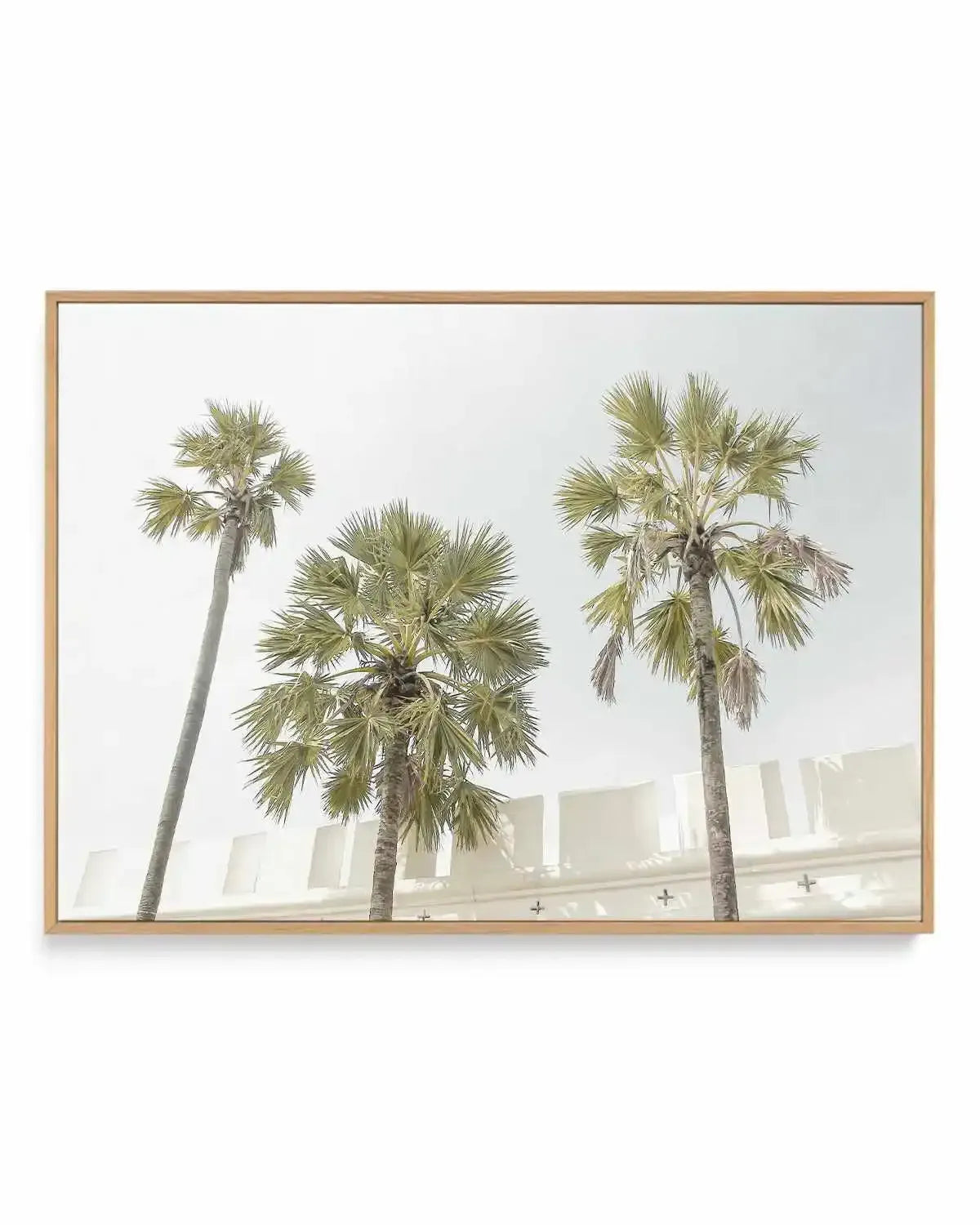 Hotel Palms | Framed Canvas Art Print from Olive et Oriel where you can shop wallpaper and artworks online