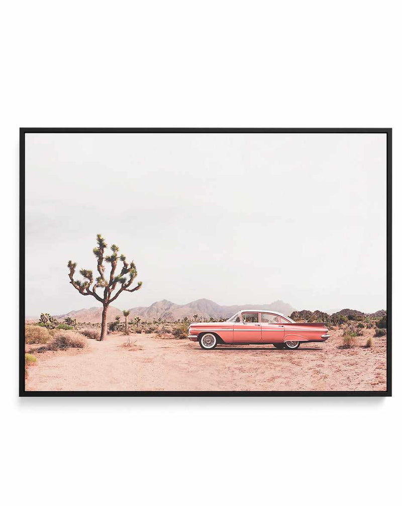 In the desert By Kathrin Pienaar  | Framed Canvas Art Print