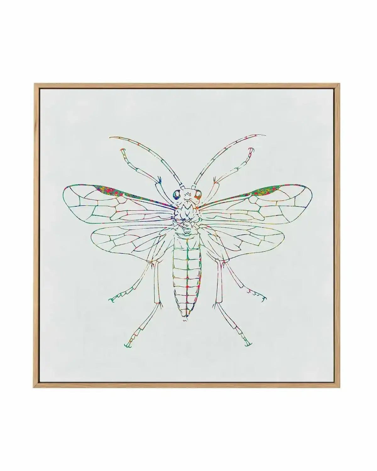 Insect Line | Framed Canvas Art Print from Olive et Oriel where you can shop wallpaper and artworks online