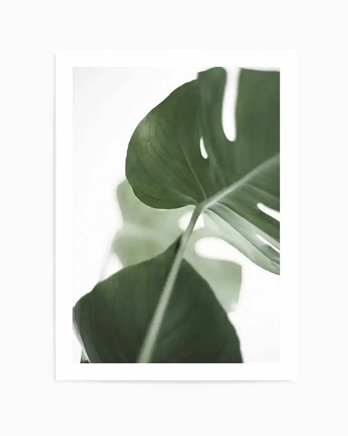 Island Luxe I Monstera Art Print art print, framed