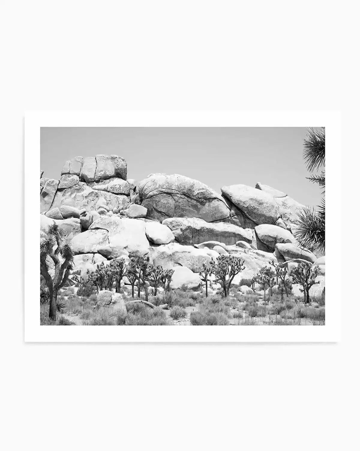 Joshua Tree I | B&W Art Print from Olive et Oriel where you can shop wallpaper and artworks online