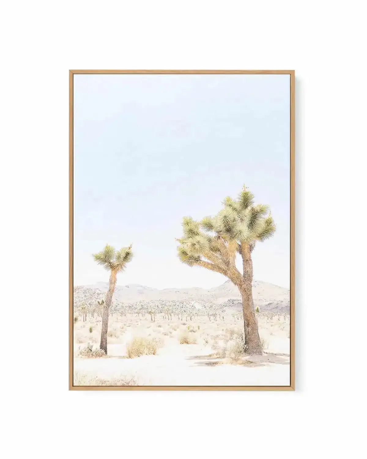Joshua Tree II | Framed Canvas Art Print from Olive et Oriel where you can shop wallpaper and artworks online