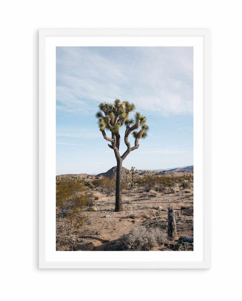 Joshua Tree PT by Kalen X | Art Print