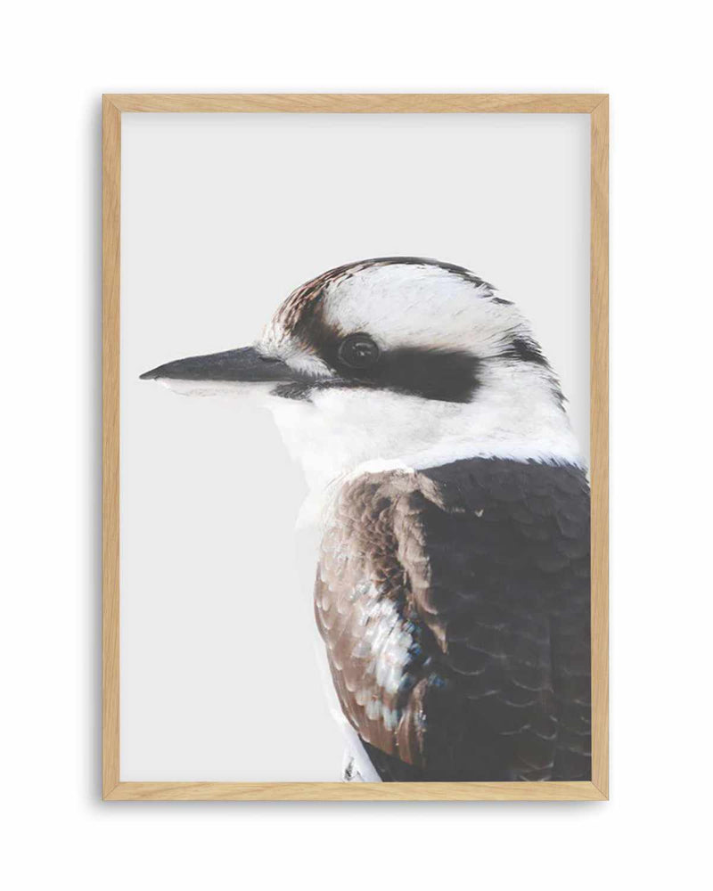 Kookaburra I Art Print