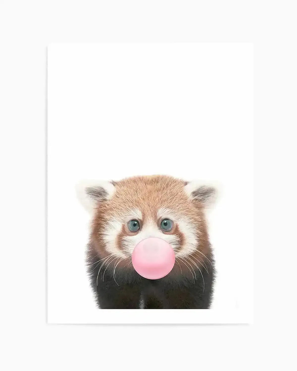 "Photography art print featuring a baby red panda with bright blue eyes, blowing a large bubblegum pink bubble, against a clean white background. The red panda has soft, fluffy fur in shades of reddish-brown, white, and black, with delicate whiskers visible."