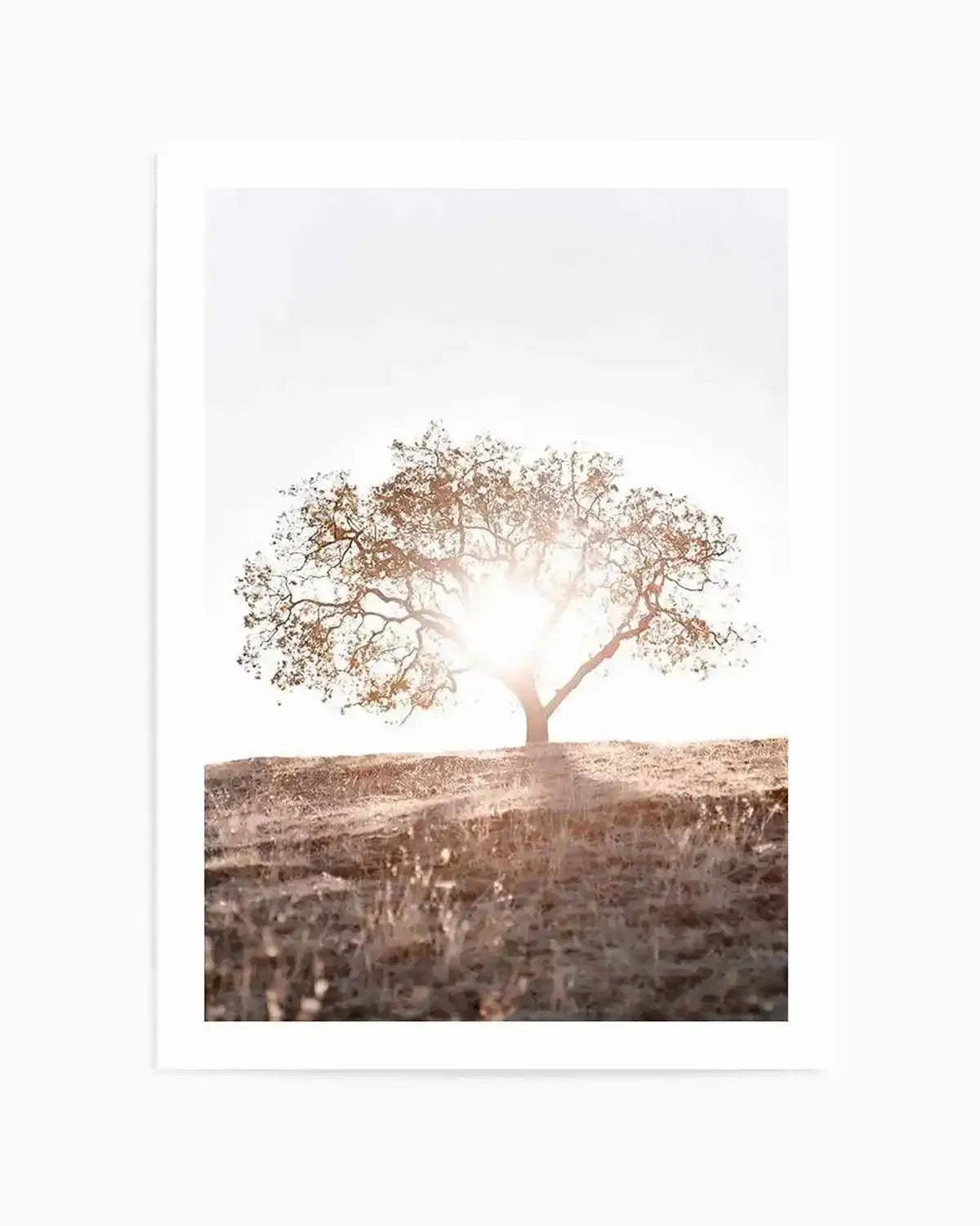 Lone Tree Hill PT by Caleb Morris Art Print from Olive et Oriel where you can shop wallpaper and artworks online
