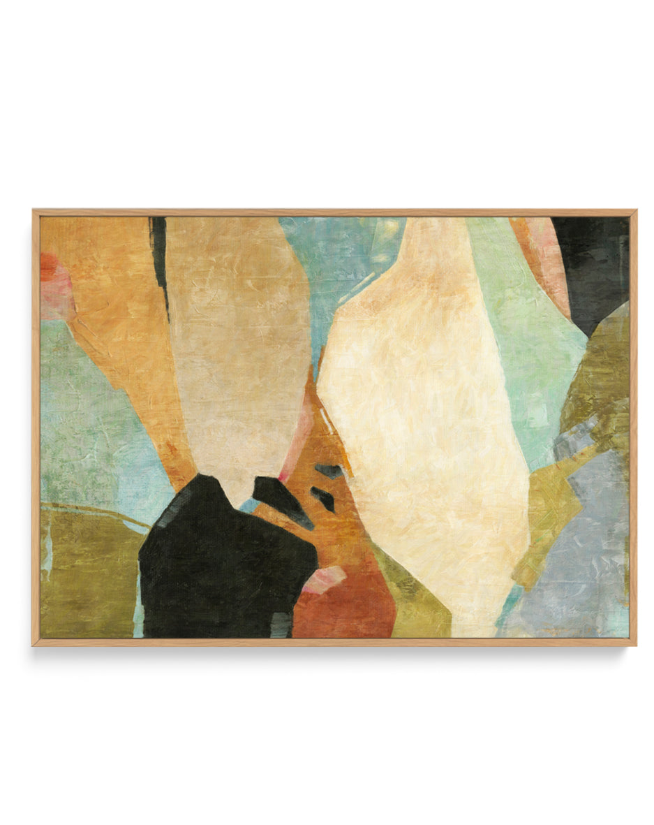 Fragments by Suzanne Nicoll | Framed Canvas Wall Art