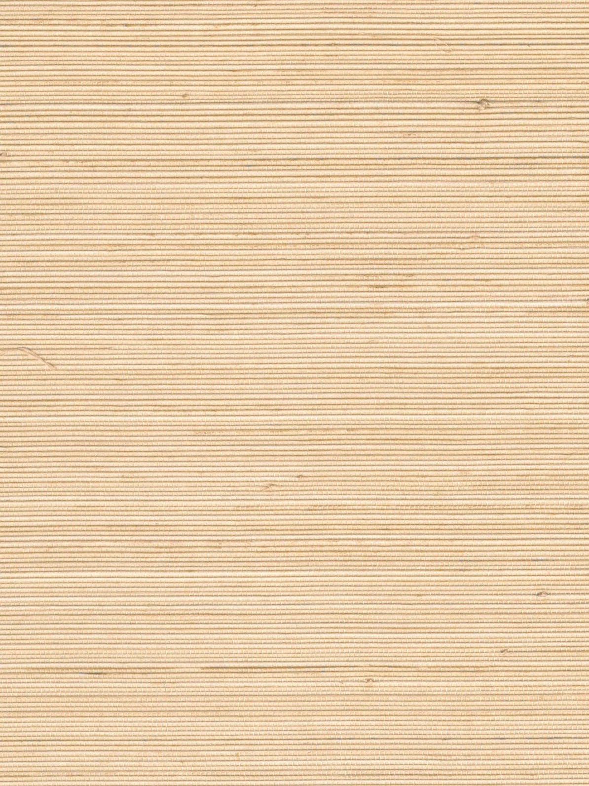 Sand Beige Linear Abaca Wallpaper — 3:4 close-up of woven texture