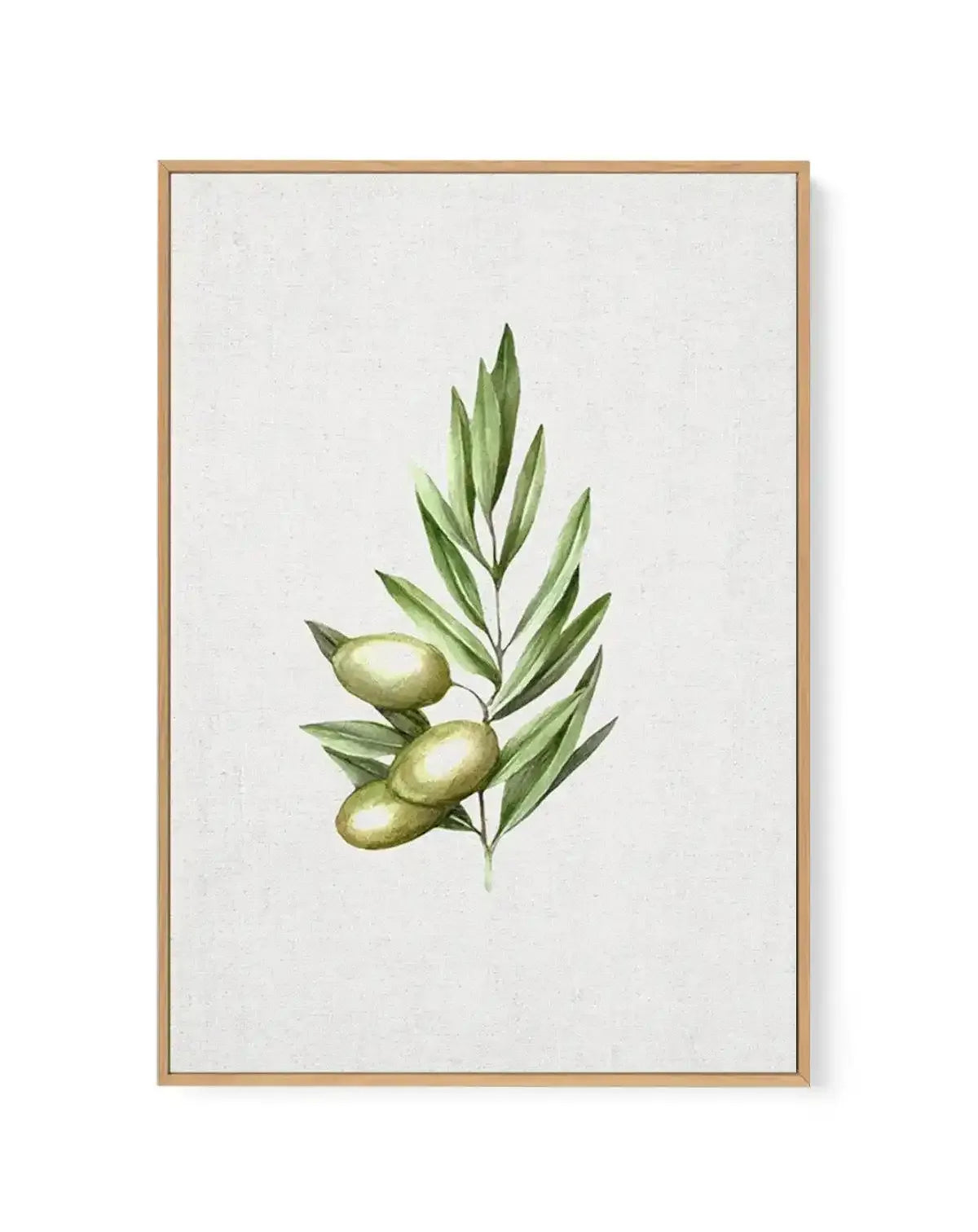 Olive I | Framed Canvas-CANVAS-You can shop wall art online with Olive et Oriel for everything from abstract art to fun kids wall art. Our beautiful modern art prints and canvas art are available from large canvas prints to wall art paintings and our proudly Australian artwork collection offers only the highest quality framed large wall art and canvas art Australia - You can buy fashion photography prints or Hampton print posters and paintings on canvas from Olive et Oriel and have them delivere