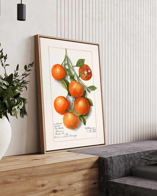 Orange Branch Vintage Poster | Framed Canvas Art Print