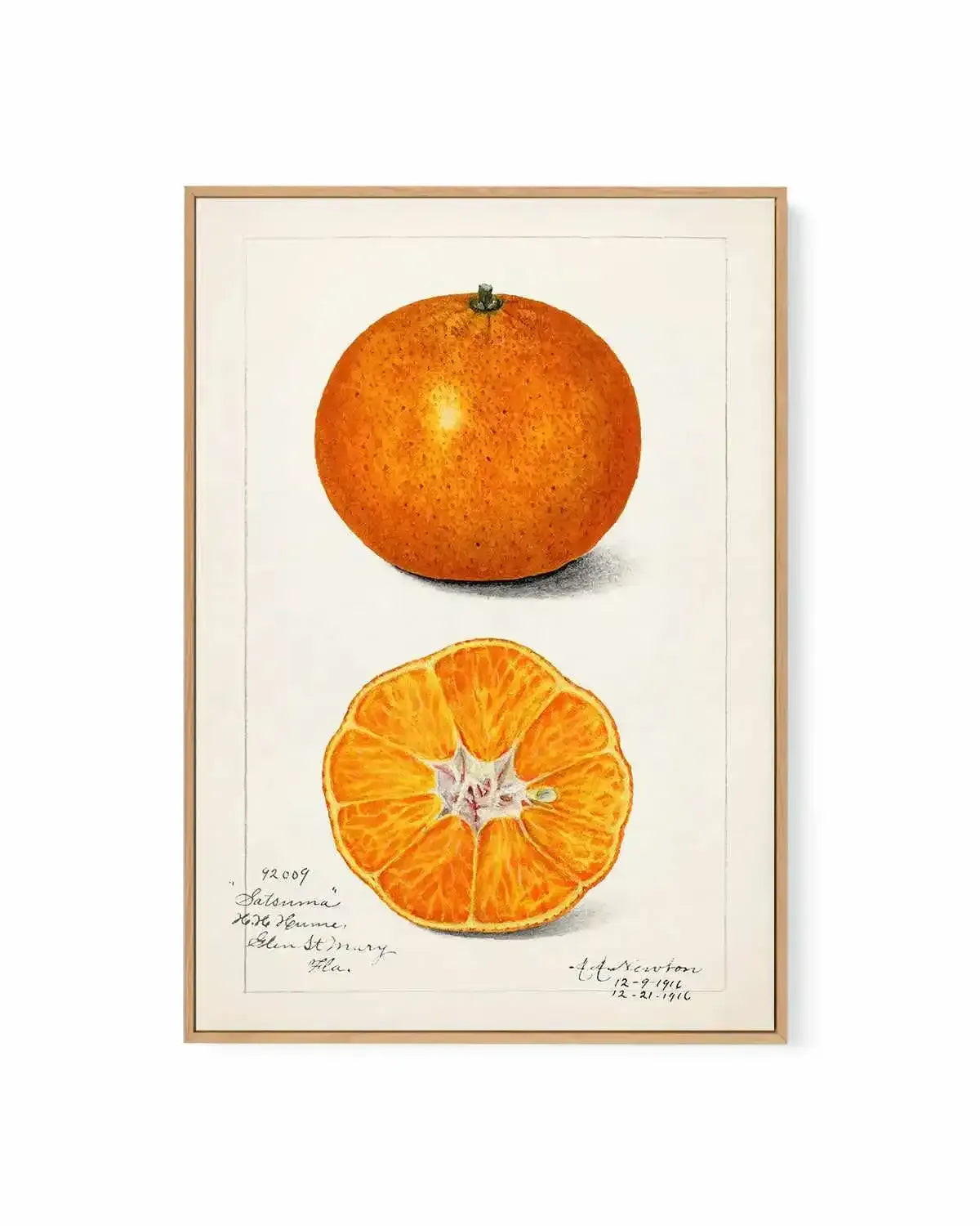 Orange Vintage Poster | Framed Canvas Art Print from Olive et Oriel where you can shop wallpaper and artworks online