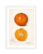 Orange Vintage Poster Art Print