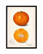 Orange Vintage Poster Art Print