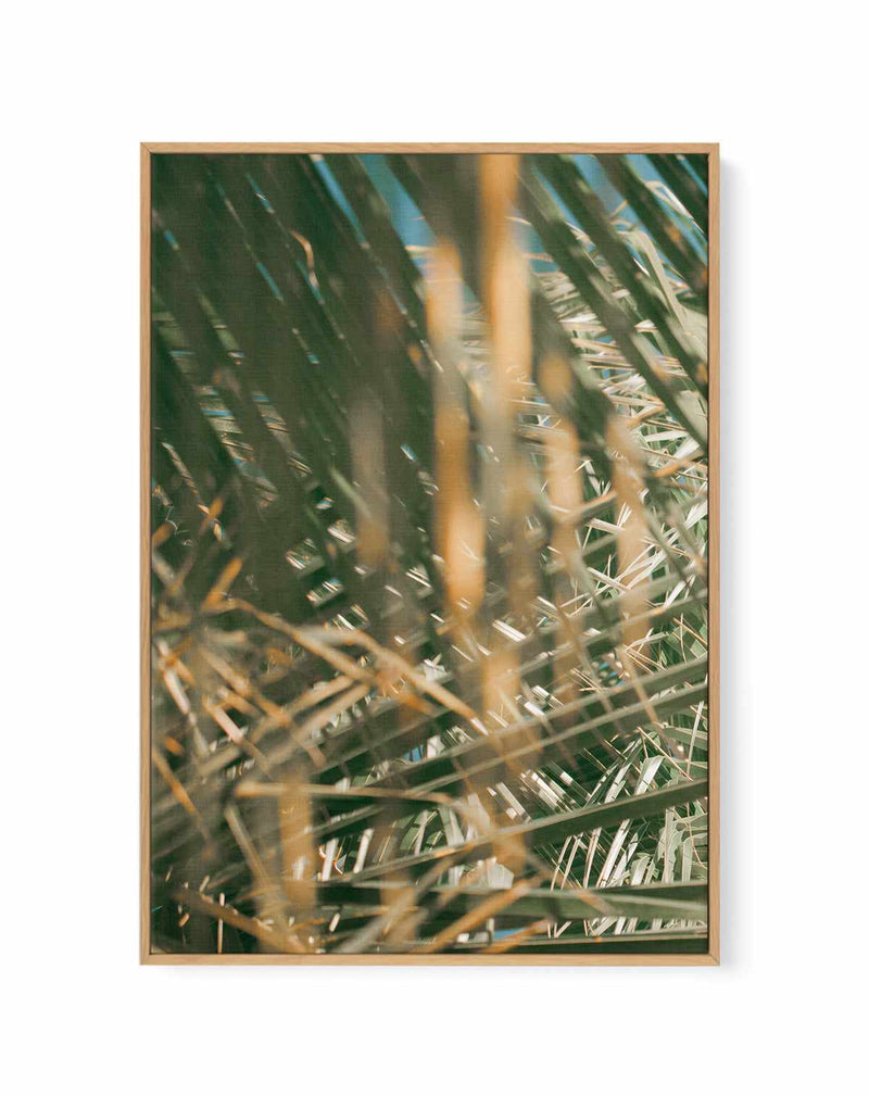Palm Bae I by Riccardo Camilli | Framed Canvas Art Print