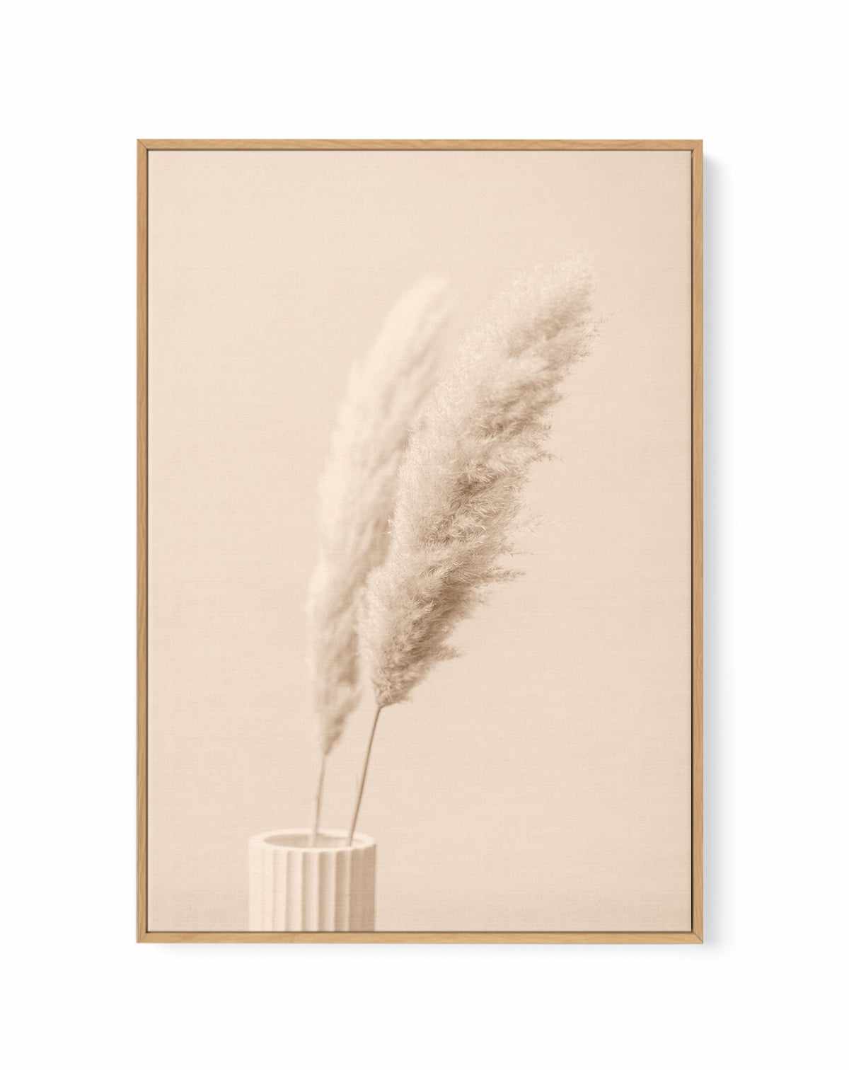 Pampas Grass Begie XIII By Studio III | Framed Canvas Art Print from Olive et Oriel where you can shop wallpaper and artworks online