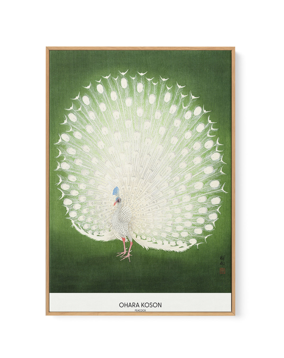 Peacock | Framed Canvas Art Print