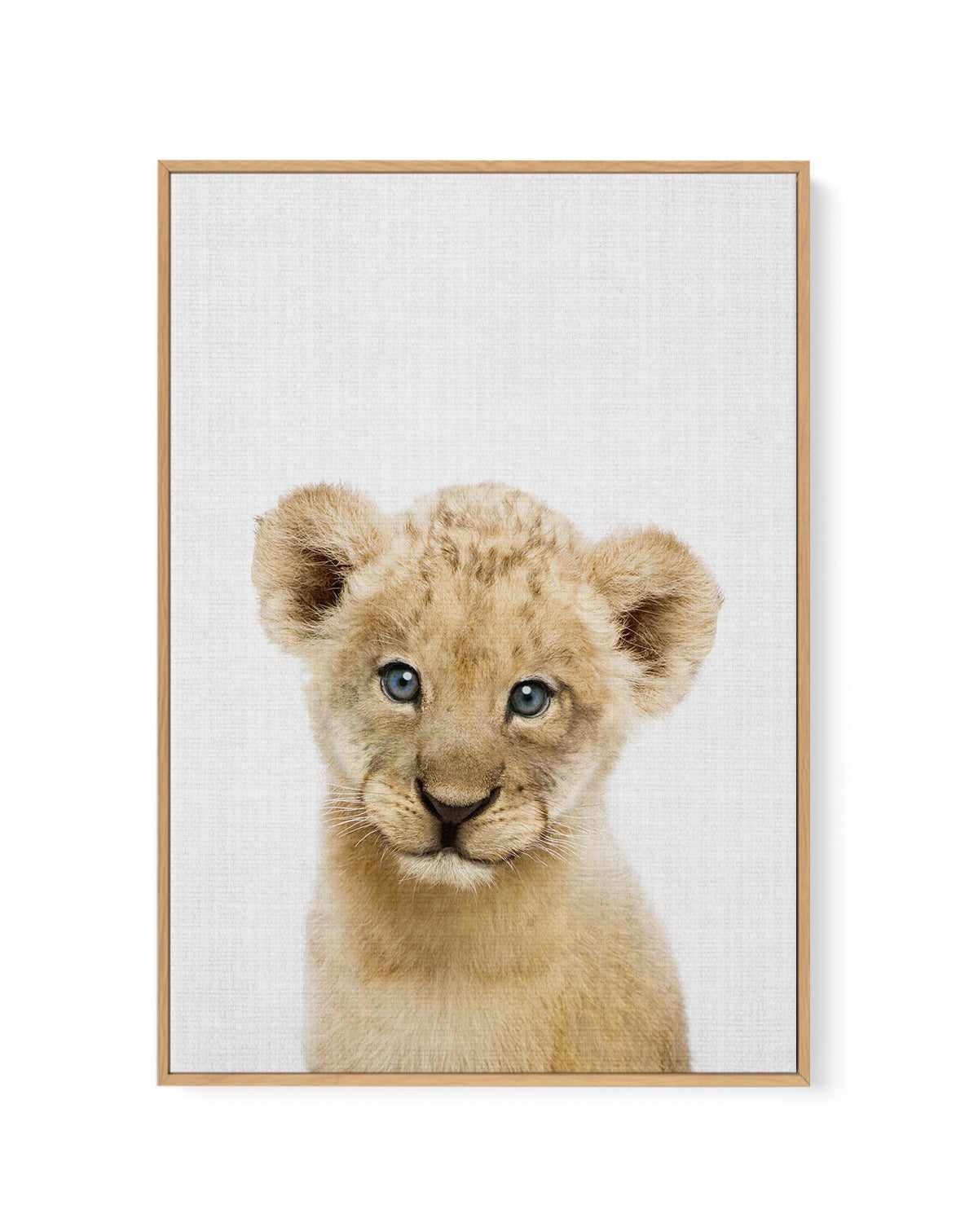 Peakaboo Baby Lion By Lola Peacock | Framed Canvas Art Print from Olive et Oriel where you can shop wallpaper and artworks online
