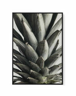 Pineapple Close Up By Studio III | Framed Canvas Art Print