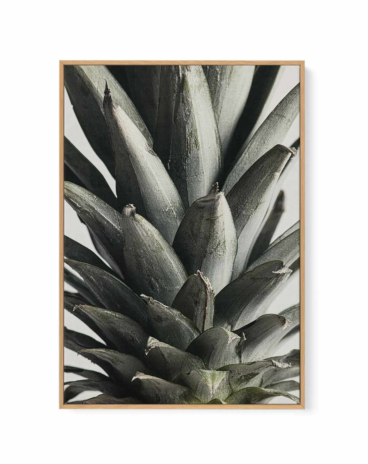 Pineapple Close Up By Studio III | Framed Canvas Art Print from Olive et Oriel where you can shop wallpaper and artworks online