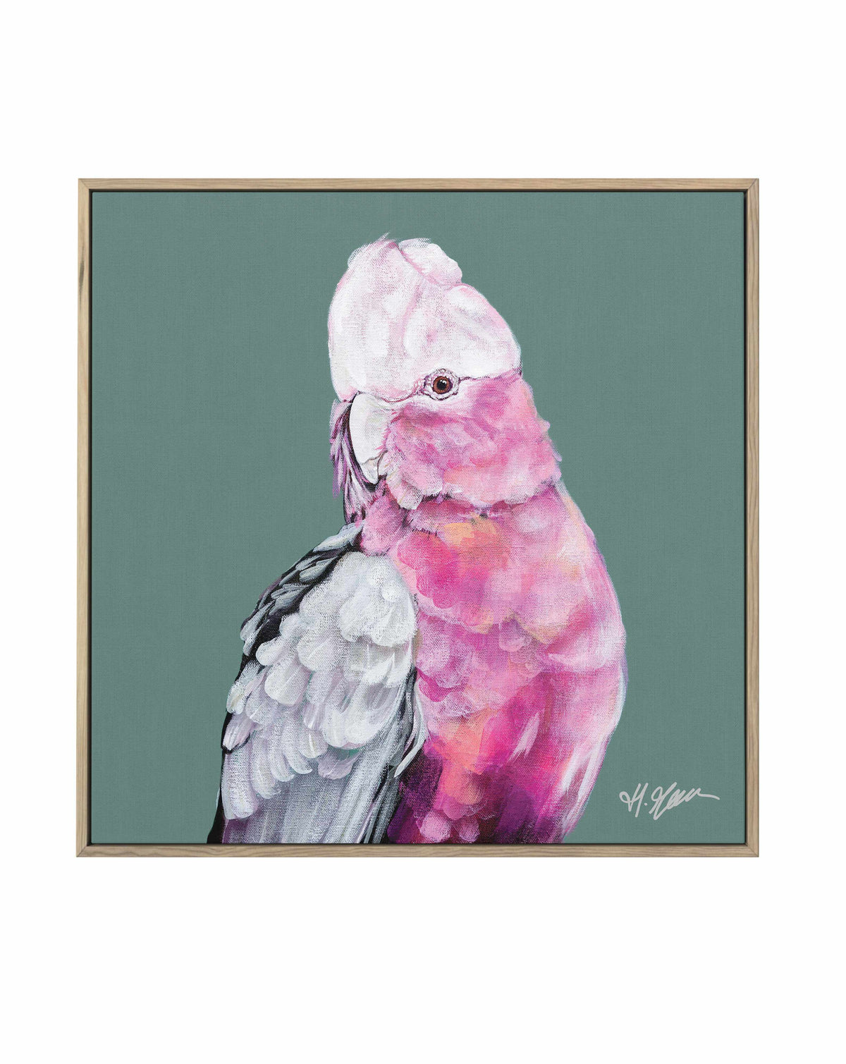 Pink Cockatoo I by Heylie Morris | Framed Canvas Art Print from Olive et Oriel where you can shop wallpaper and artworks online