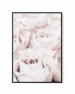Pink Roses No 04 By Studio III | Framed Canvas Art Print